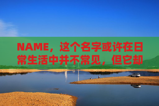 NAME，这个名字或许在日常生活中并不常见，但它却在某些领域里扮演着重要的角色。今天，让我们一起来探索这个名字背后的故事和意义